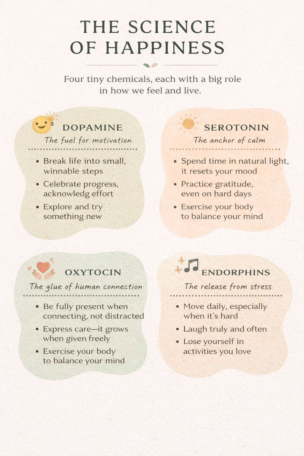 The Science of Happiness: Dopamine, Serotonin, Oxytocin & Endorphins
