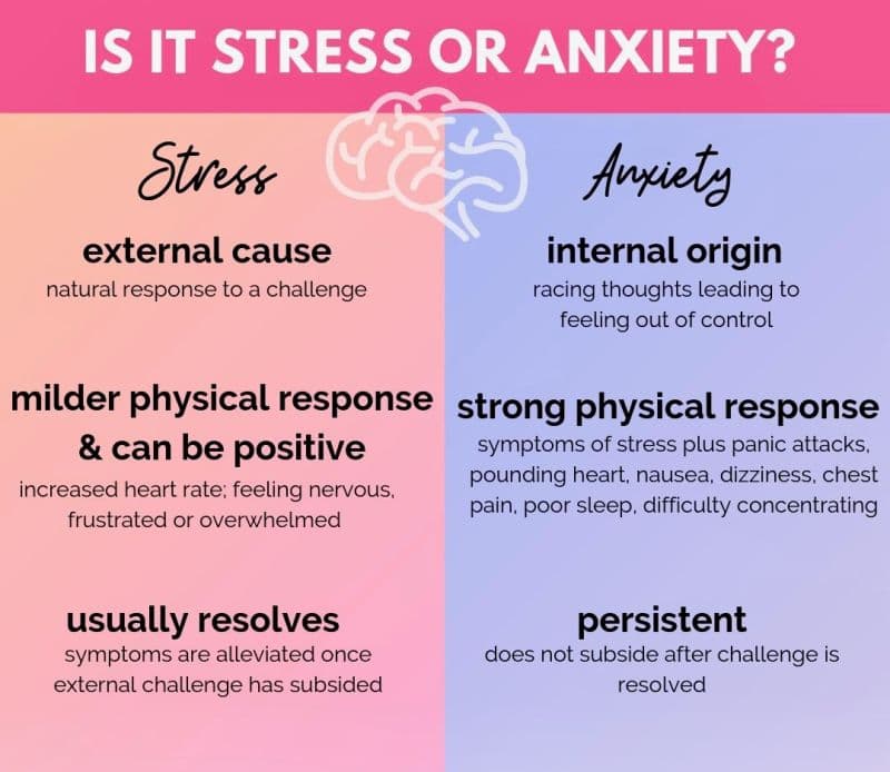 Anxiety vs Stress: The Subtle Difference That Defines Our Inner Balance