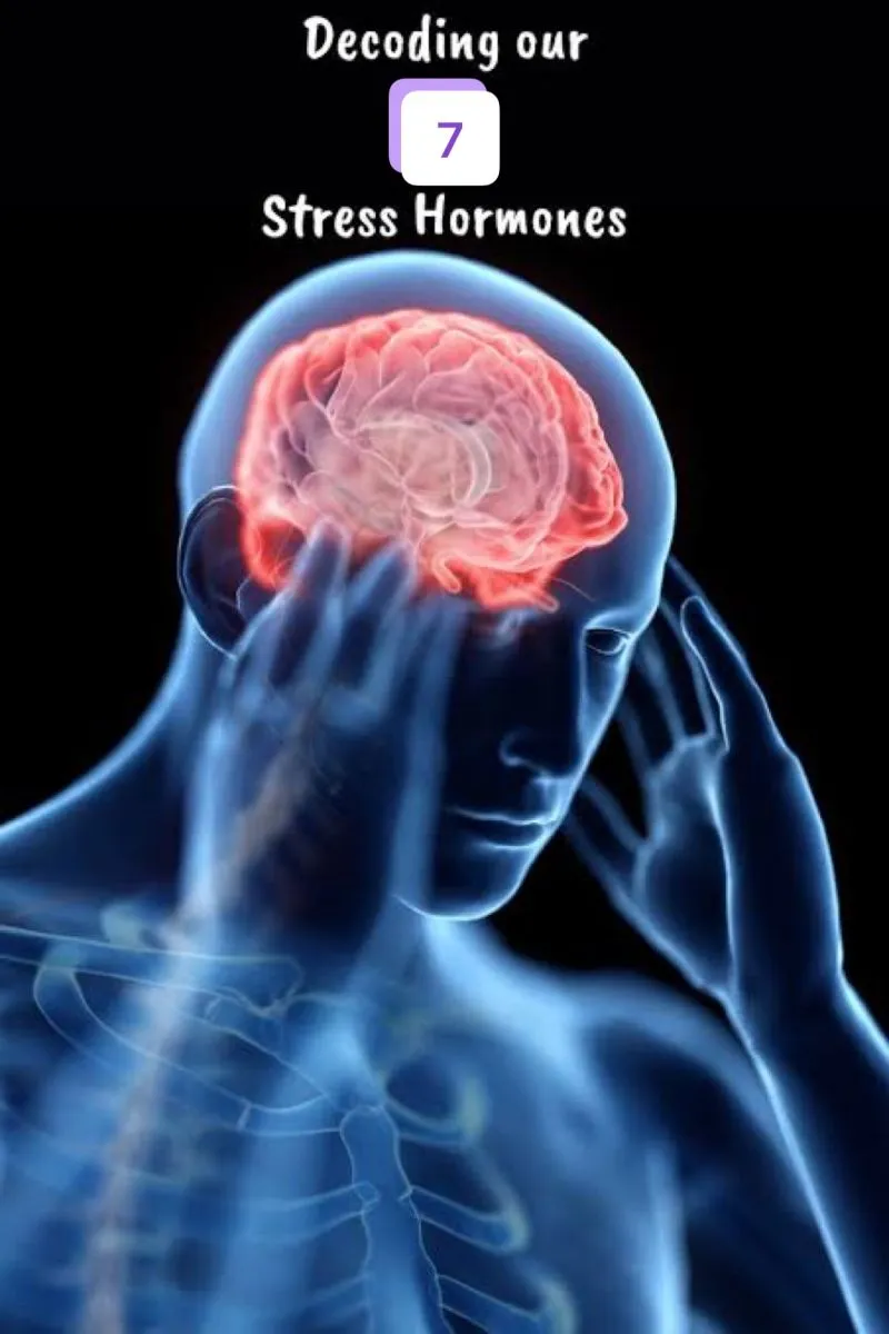 How Stress Affects Your Hormones and Your Body and What You Can Do About It
