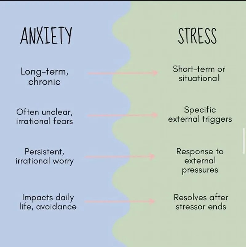 Stress vs Anxiety: How to Tell the Difference and What to Do About It